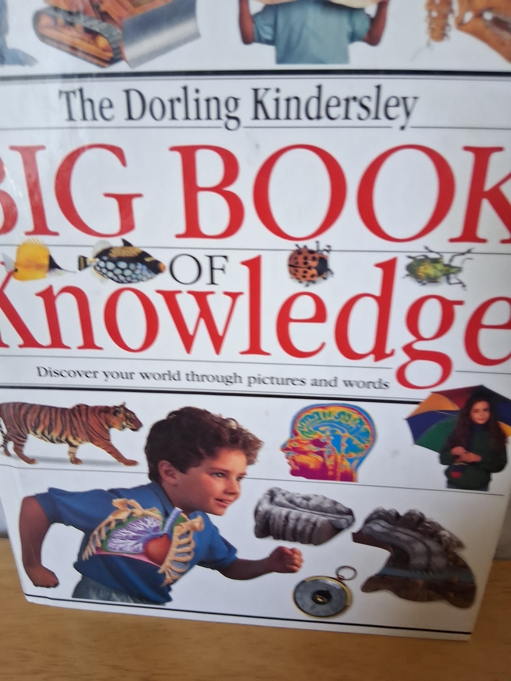 Others Follow Big Book of Knowledge - White with Red Text - Picture 2 of 5